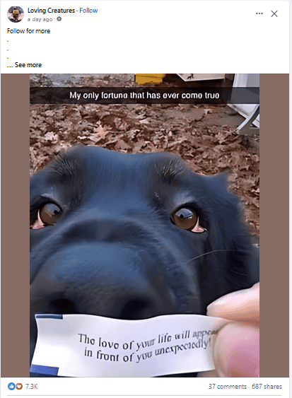 1718321742939.png