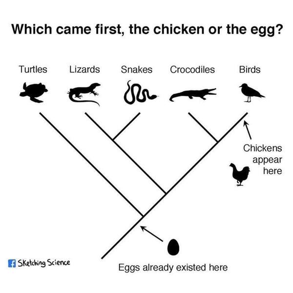 17202807_1482379695114432_1207446353808268150_n.jpg