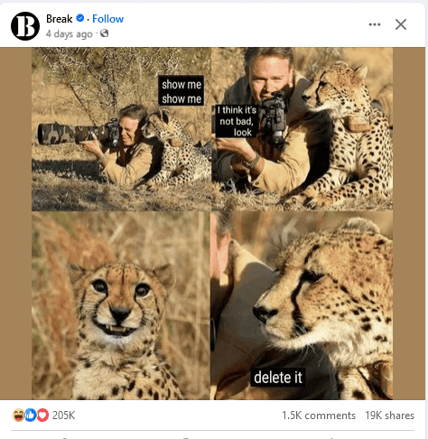 1721166871376.png