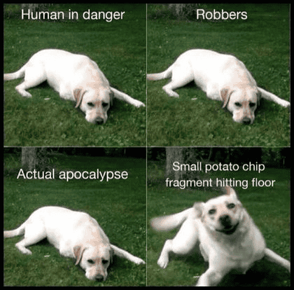 1721760334700.png