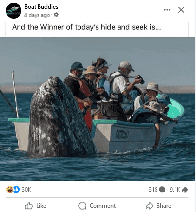 1723129265083.png