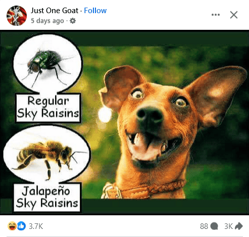 1726845999096.png