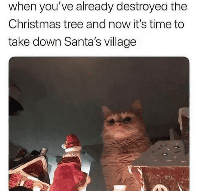 1735168244956.png