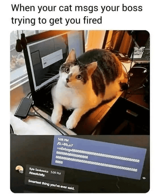 1736031620267.png