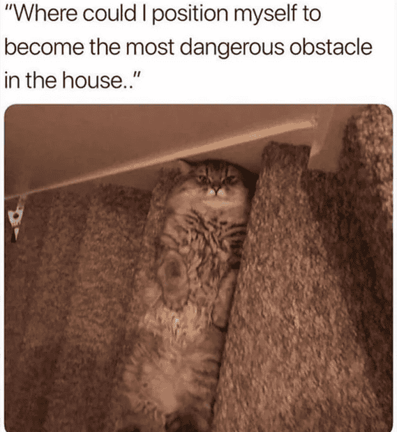 1736037872359.png