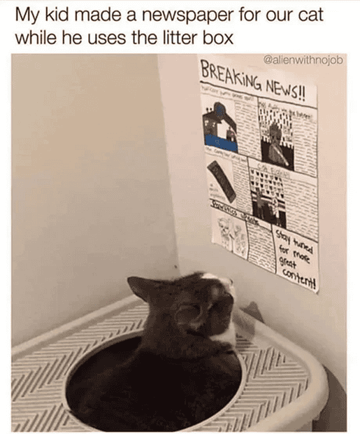 1736109966658.png