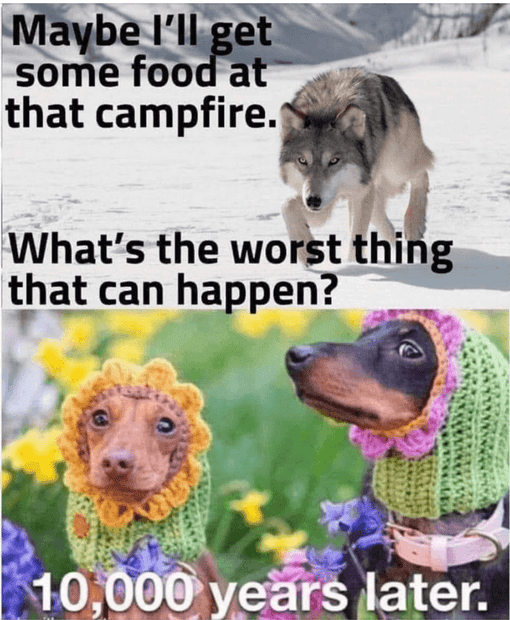 1736208063892.png