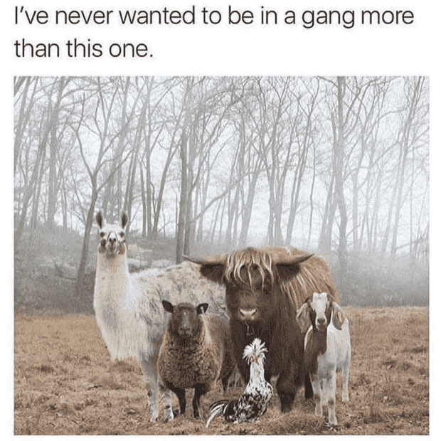 1736216001169.png
