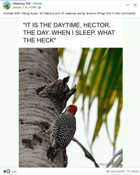 1736439334629.png