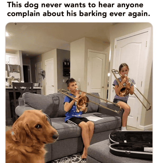 1737171682682.png