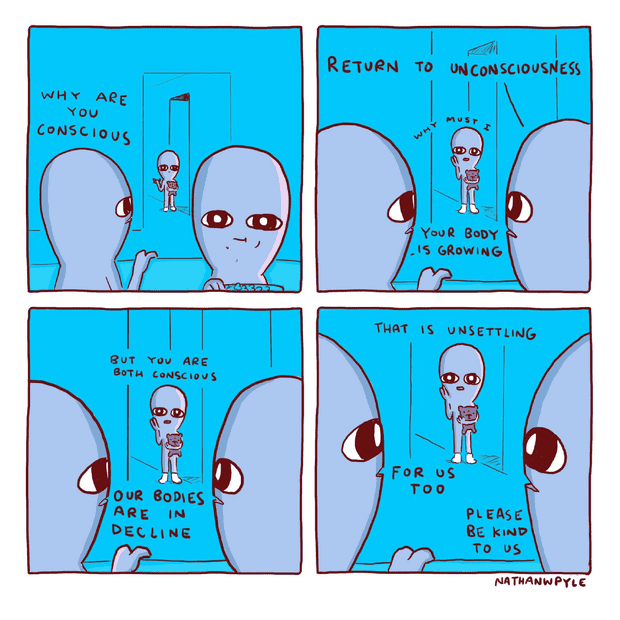 1738085910472.png