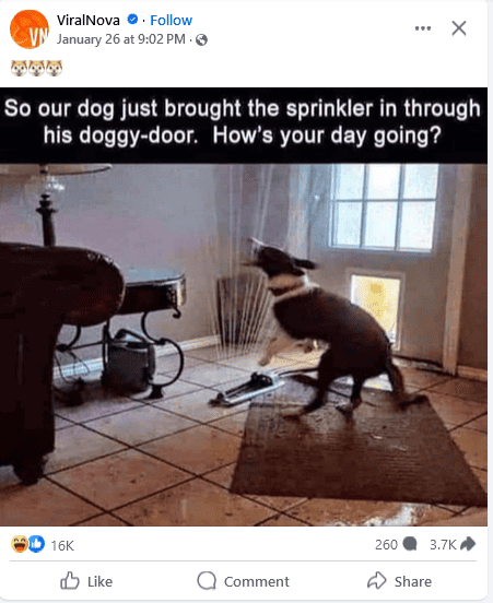1738099489175.png