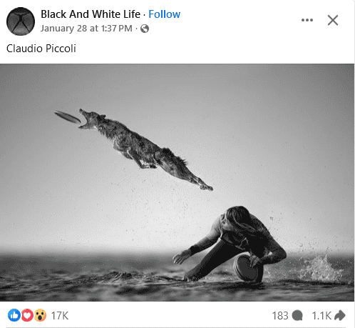 1738532841582.png