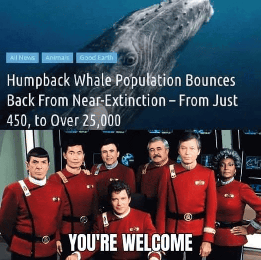 1738575069390.png