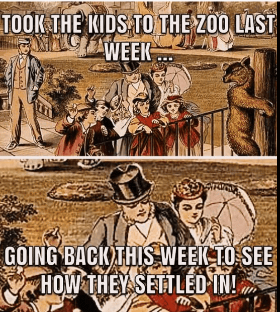 1738666591293.png