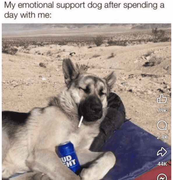 1739236031595.png