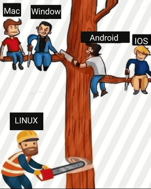 1739515758190.png
