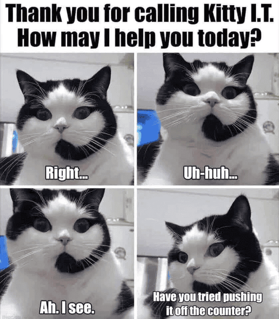 1739741684929.png