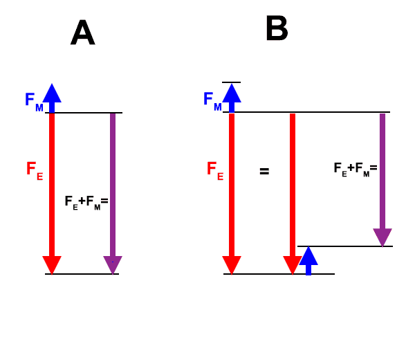 1741032008493.png