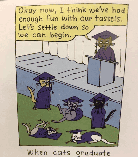1741375508965.png