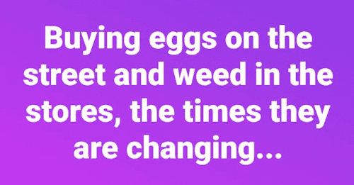 1741479068651.png