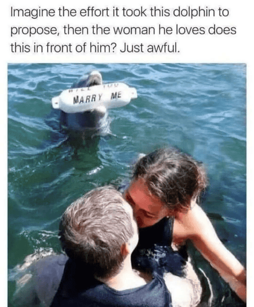 1742186574273.png