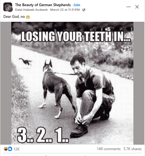 1742913025313.png