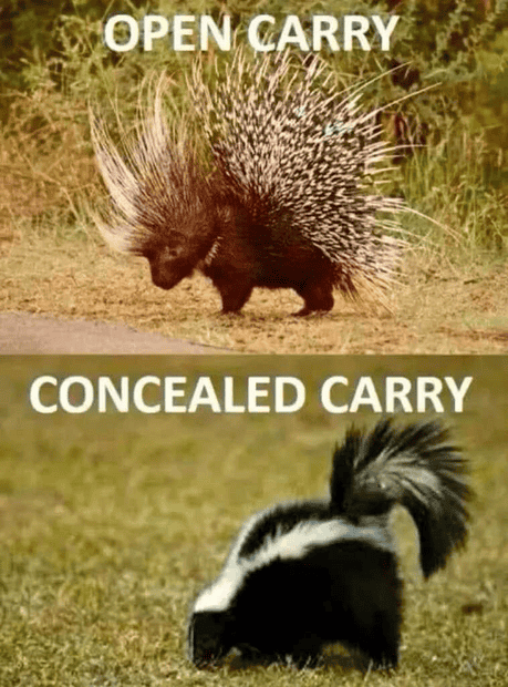 1742979686278.png