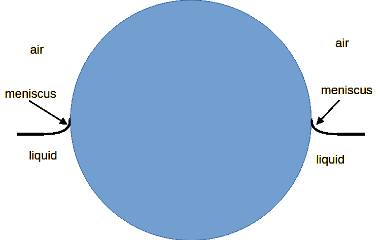 1744040583878.png