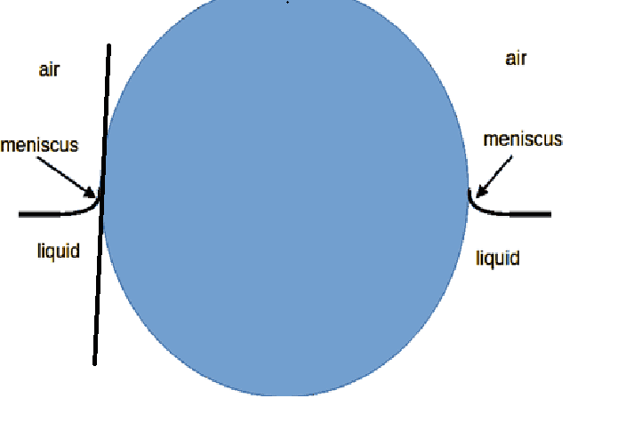 1744101048755.png
