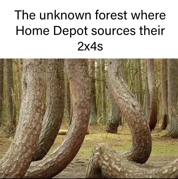 1746326045965.webp