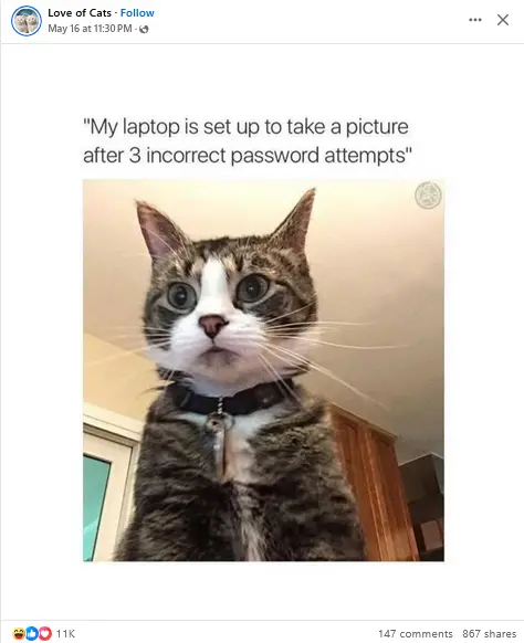 1747782178595.webp