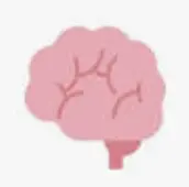 1747862170293.webp
