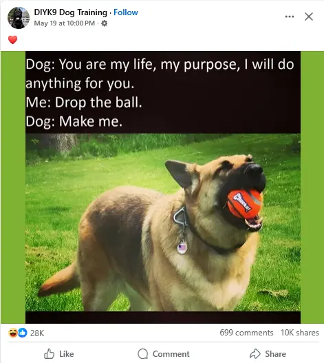 1748038647914.webp