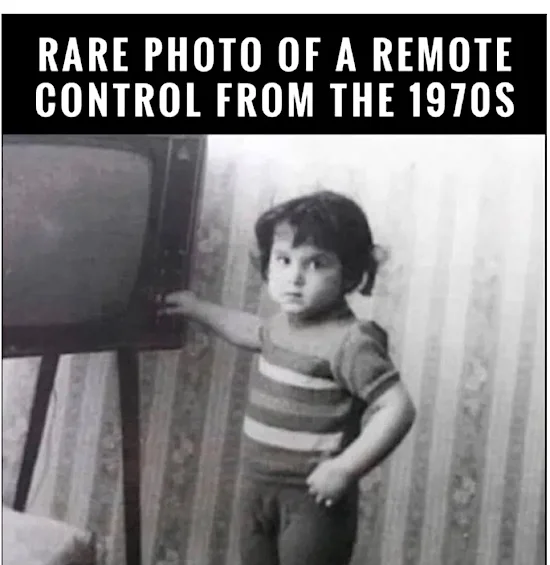 1755355875591.webp