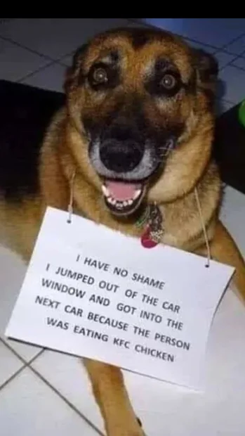 1757250303299.webp