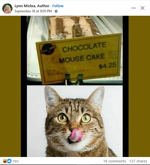 1758403377479.webp