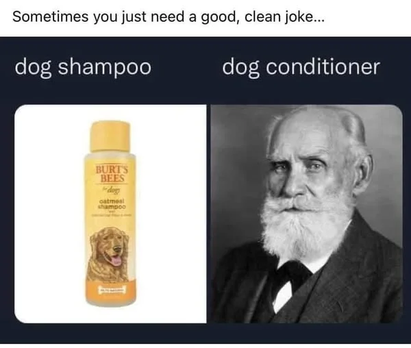 1758726318079.webp