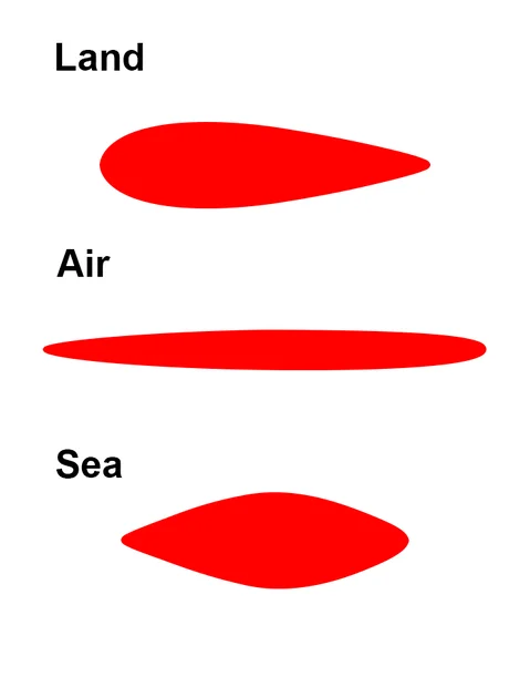 1761768871562.webp 1761768871562.webp