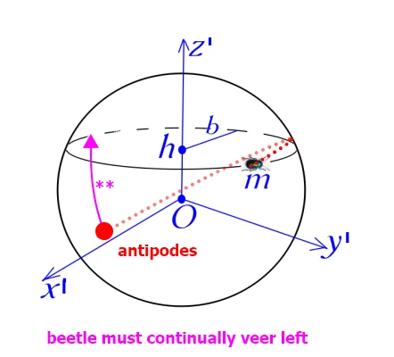 1779127207583.webp