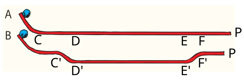 1779797321953.webp