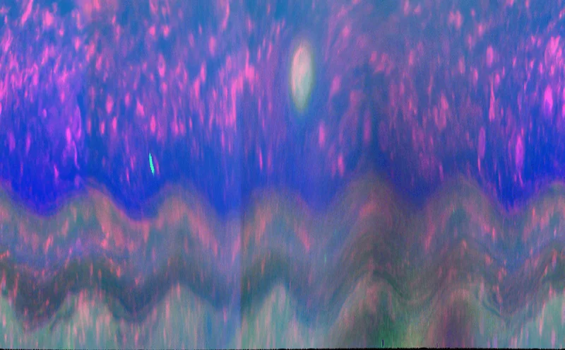 1781365115248.webp