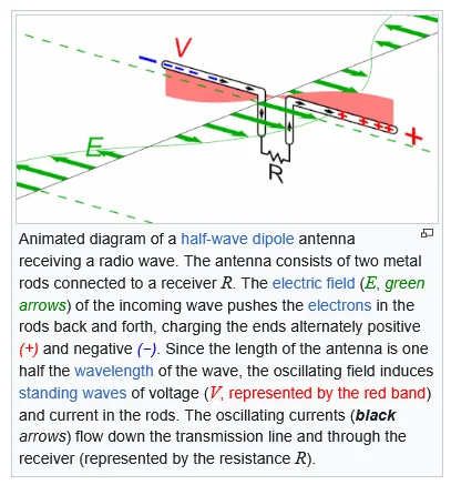 1786561688142.webp