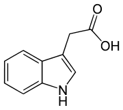 180px-Indol-3-ylacetic_acid.svg.png