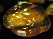 180px-Kauri_gum_nz_amber.jpg