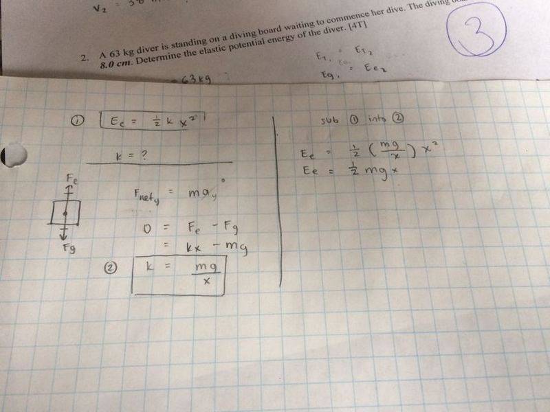 1efaa98d-349b-4492-bb00-c8bcd740b0f3.jpg