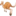 🦘