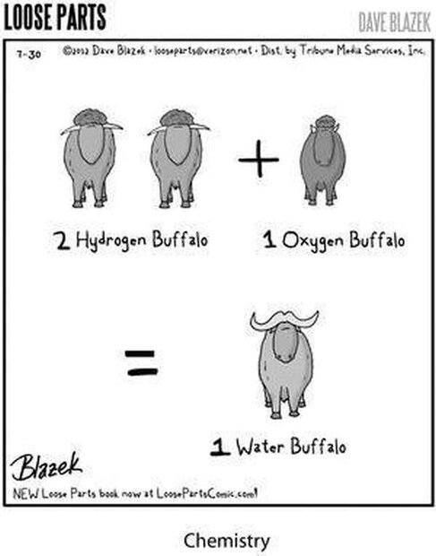 2 hydrogen buffalo.jpg