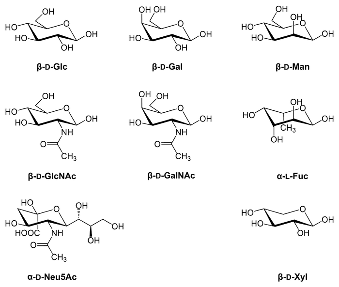 2000px-Glykoproteine_Zucker.svg.png