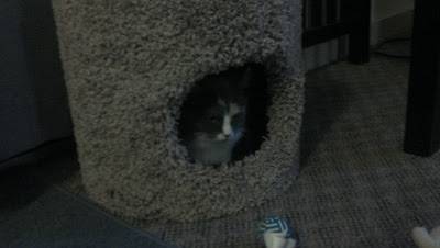 2011-11-08_17-17-35_481.jpg